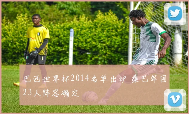 巴西世界杯2014名单出炉 桑巴军团23人阵容确定